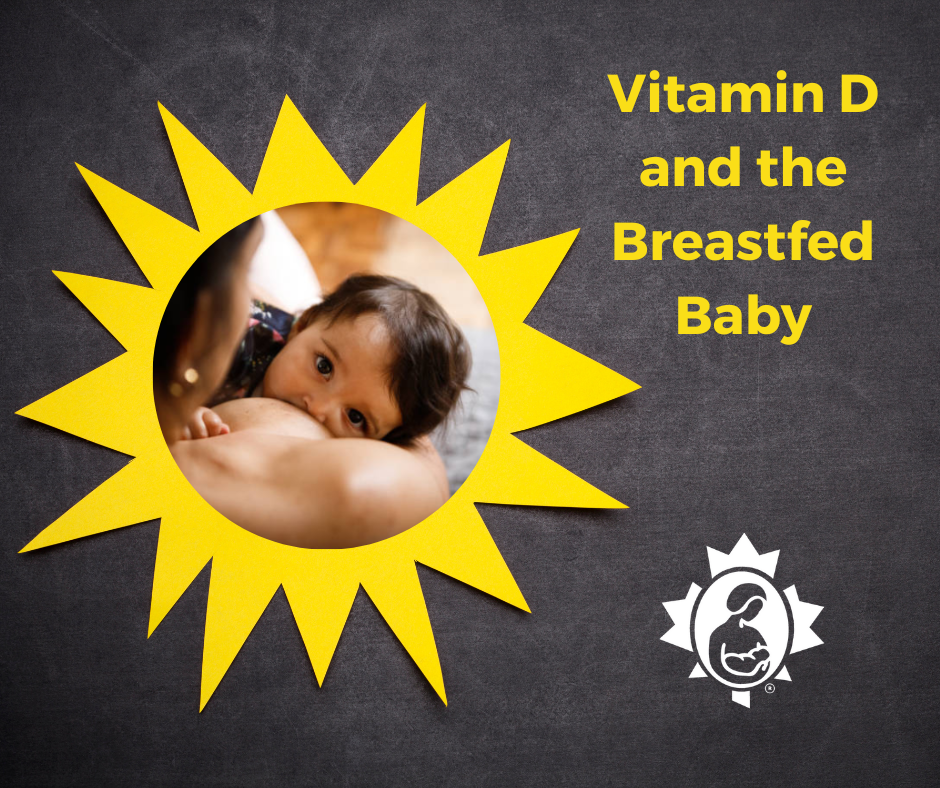 Vitamin D and the Breastfed Baby La Leche League Canada